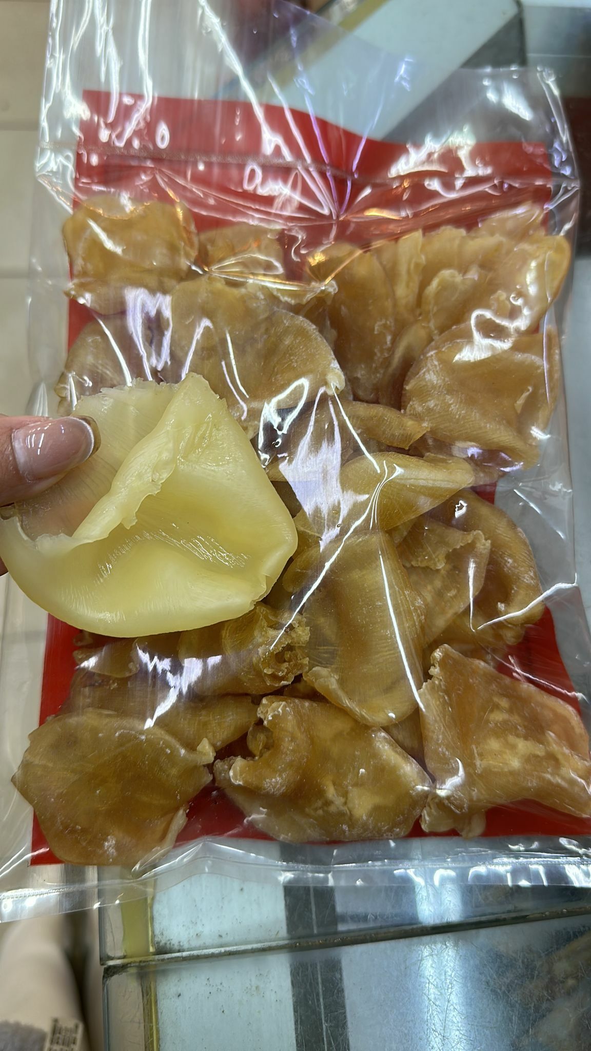 (2118)澳洲元寶膠半斤(約35-40隻)