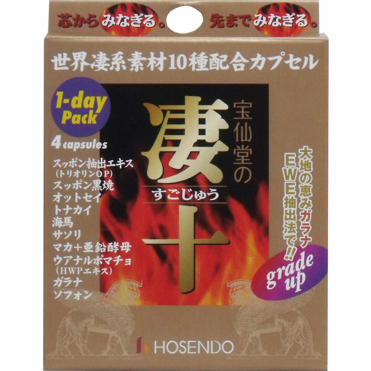 Hosendo  1-DAY Pack 4 tablets