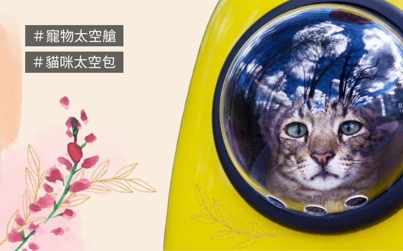 寵物太空包