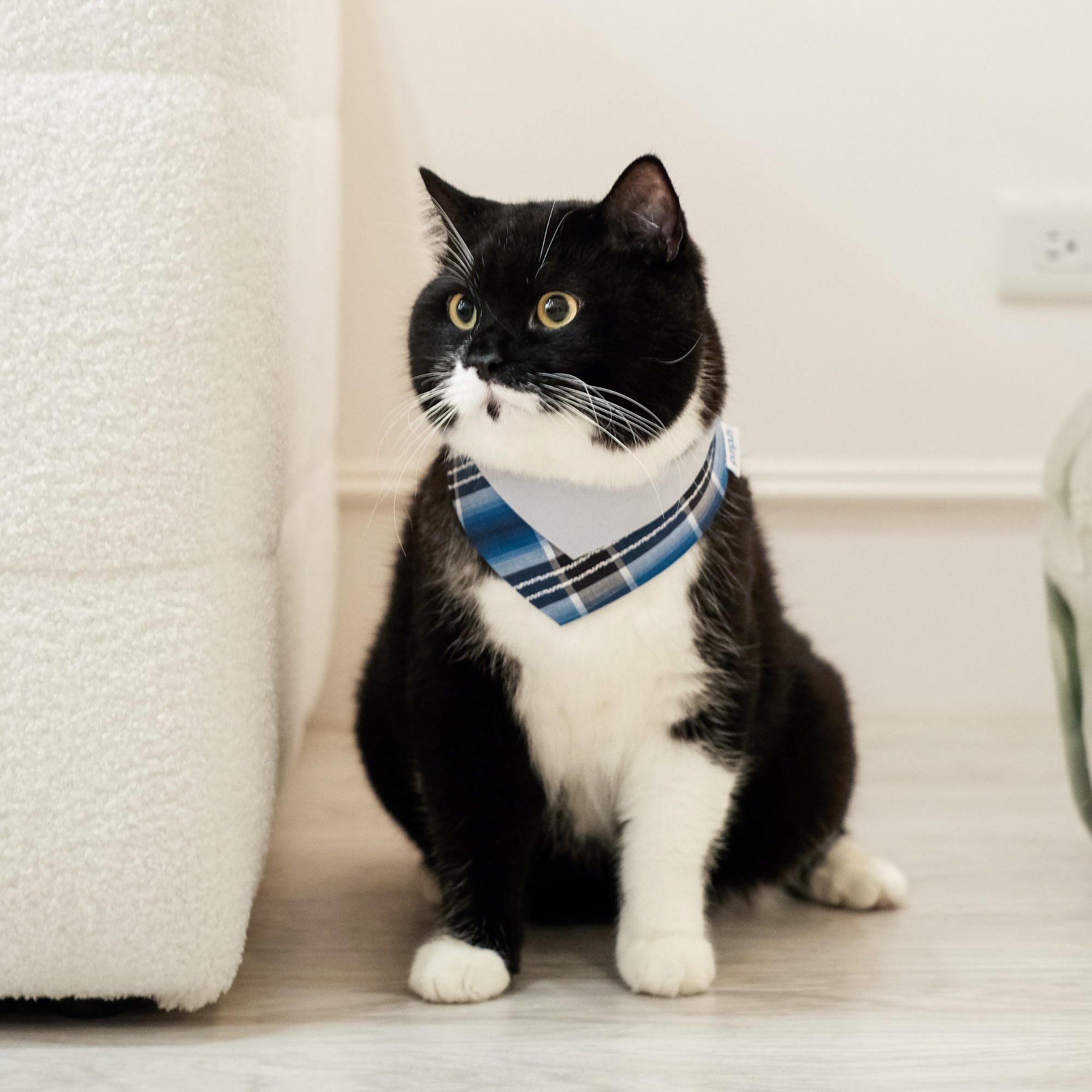 PuriPuri® 寵物領巾 - 深海奇緣