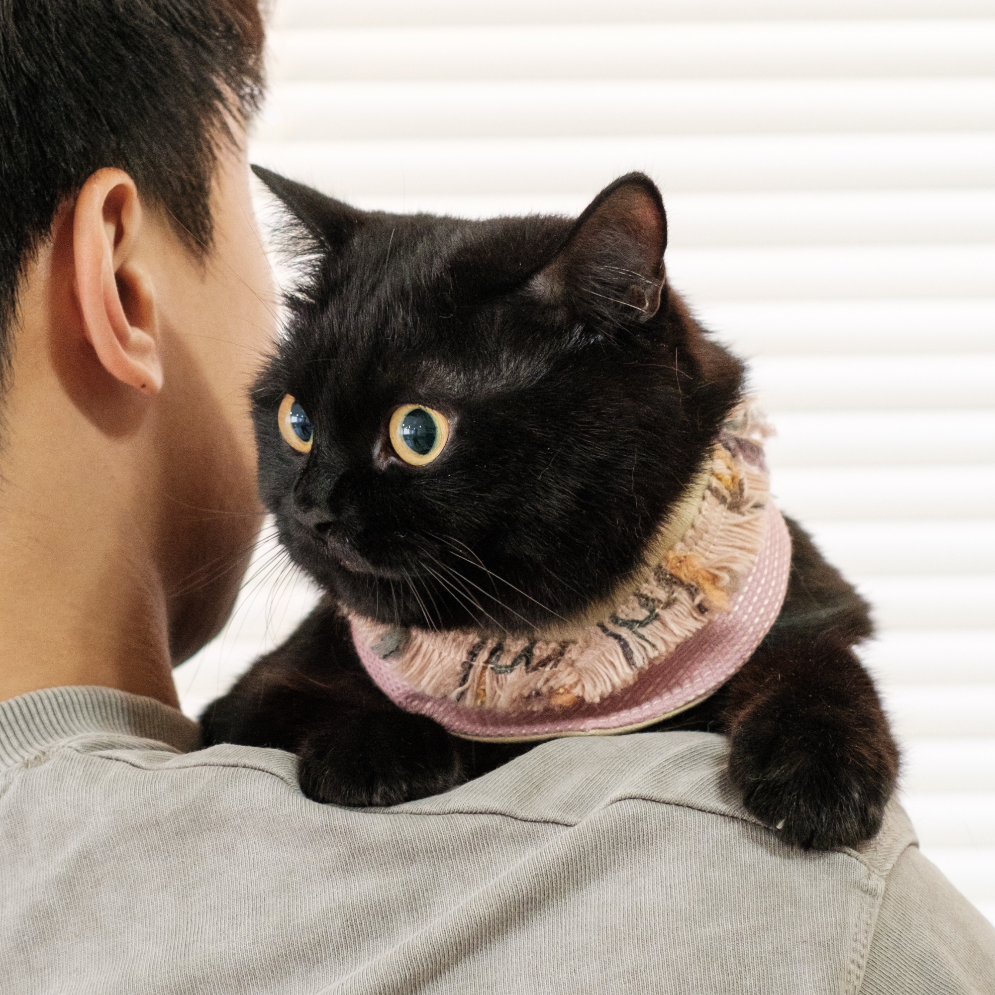 PuriPuri® 寵物領巾 - 熱帶珊瑚礁