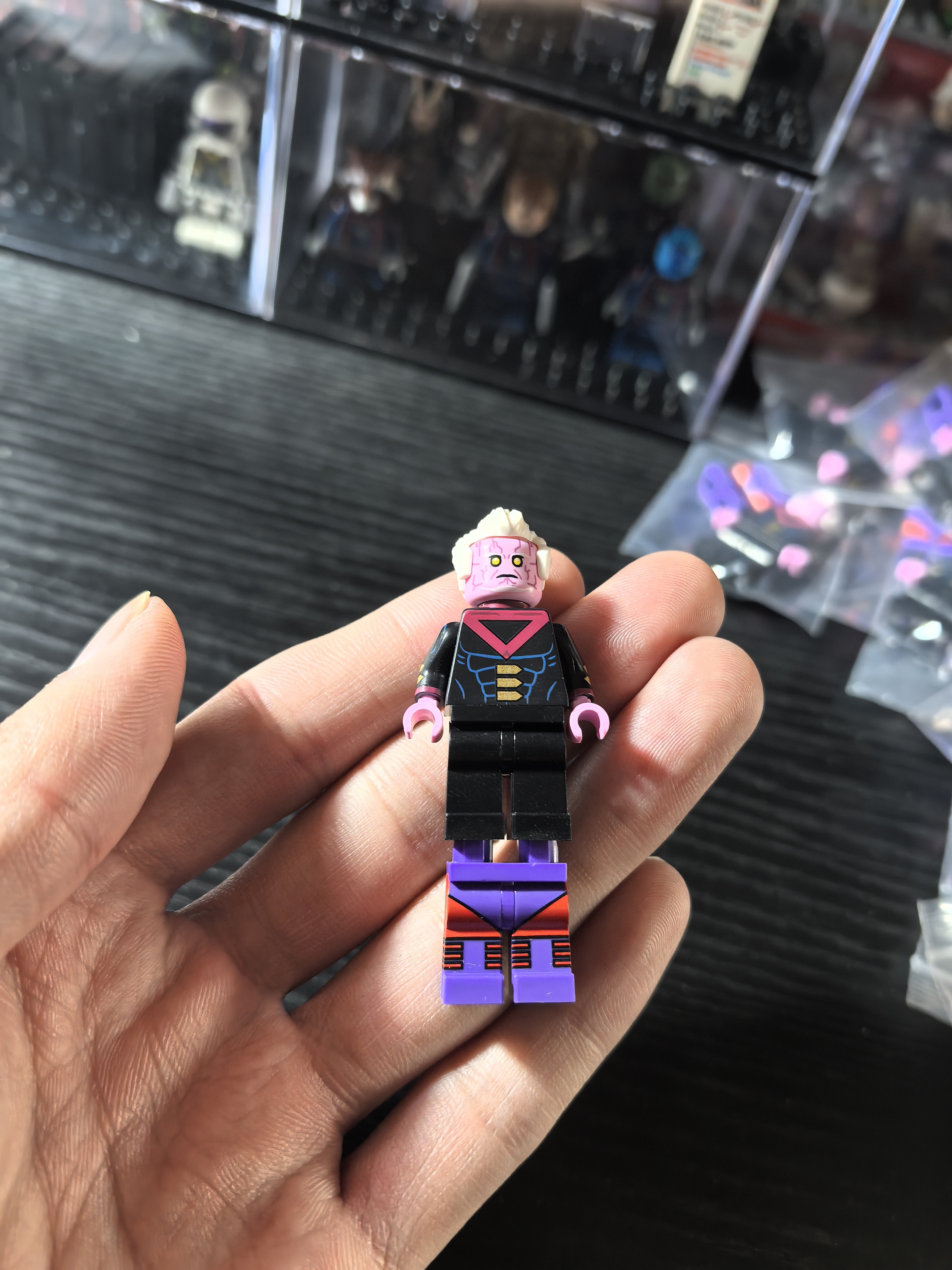 【Earthly brick】稜堡