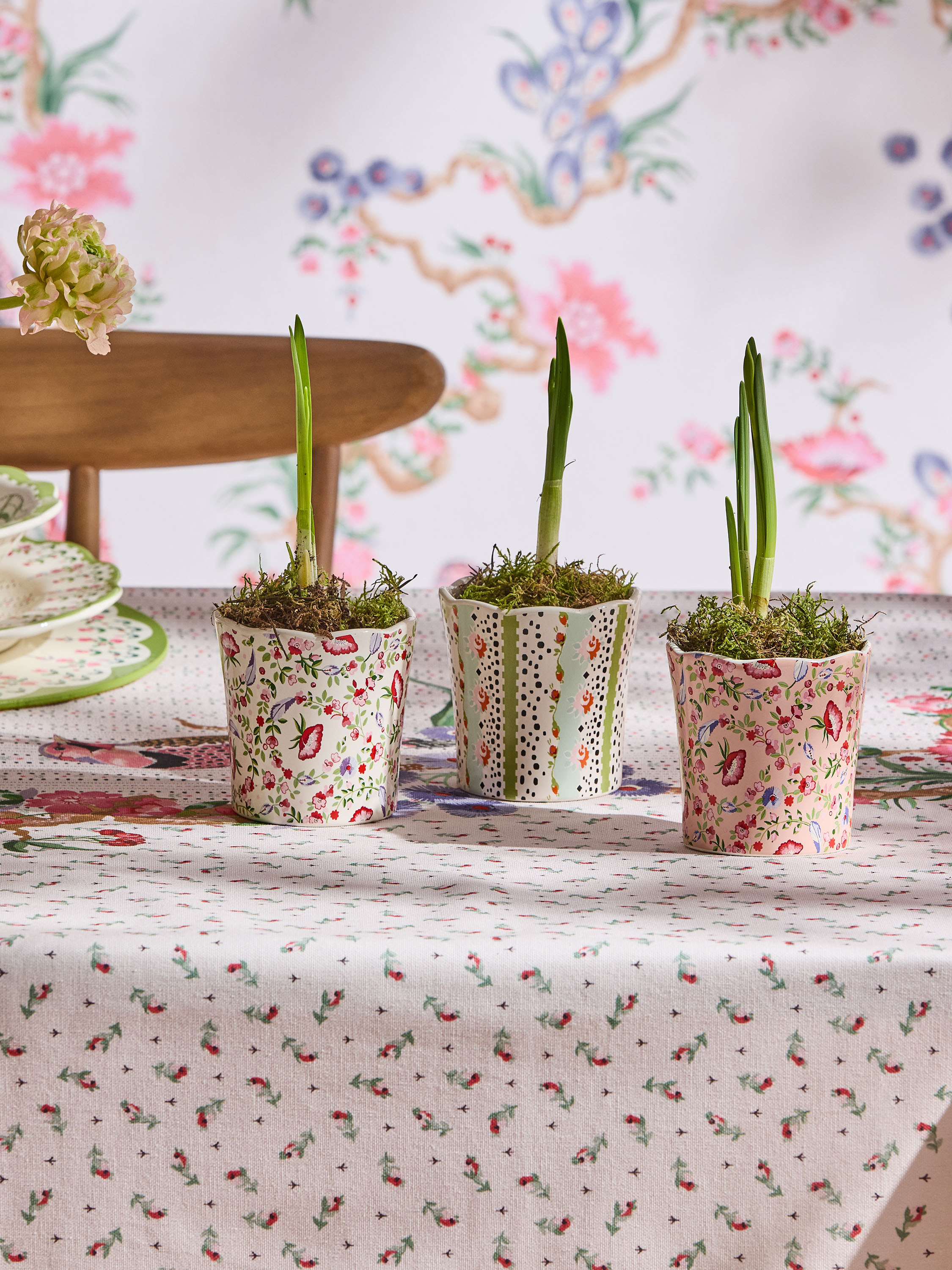 Feather Ditsy 迷你陶瓷盆栽3入組