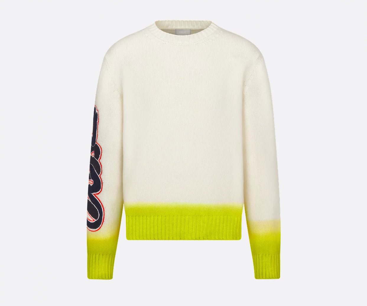 Dior and Kaws sweater