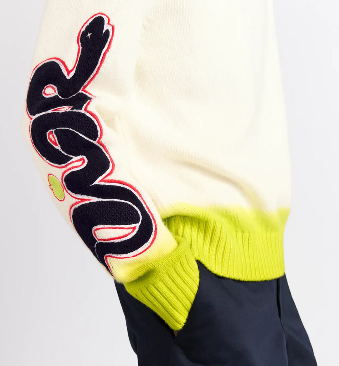 Dior and Kaws sweater