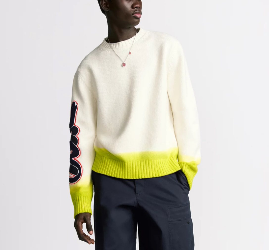 Dior and Kaws sweater