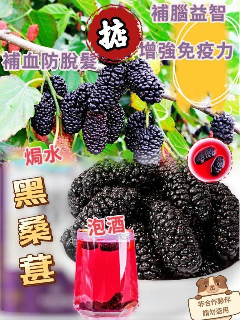 (2127)新疆頂級黑桑葚150g