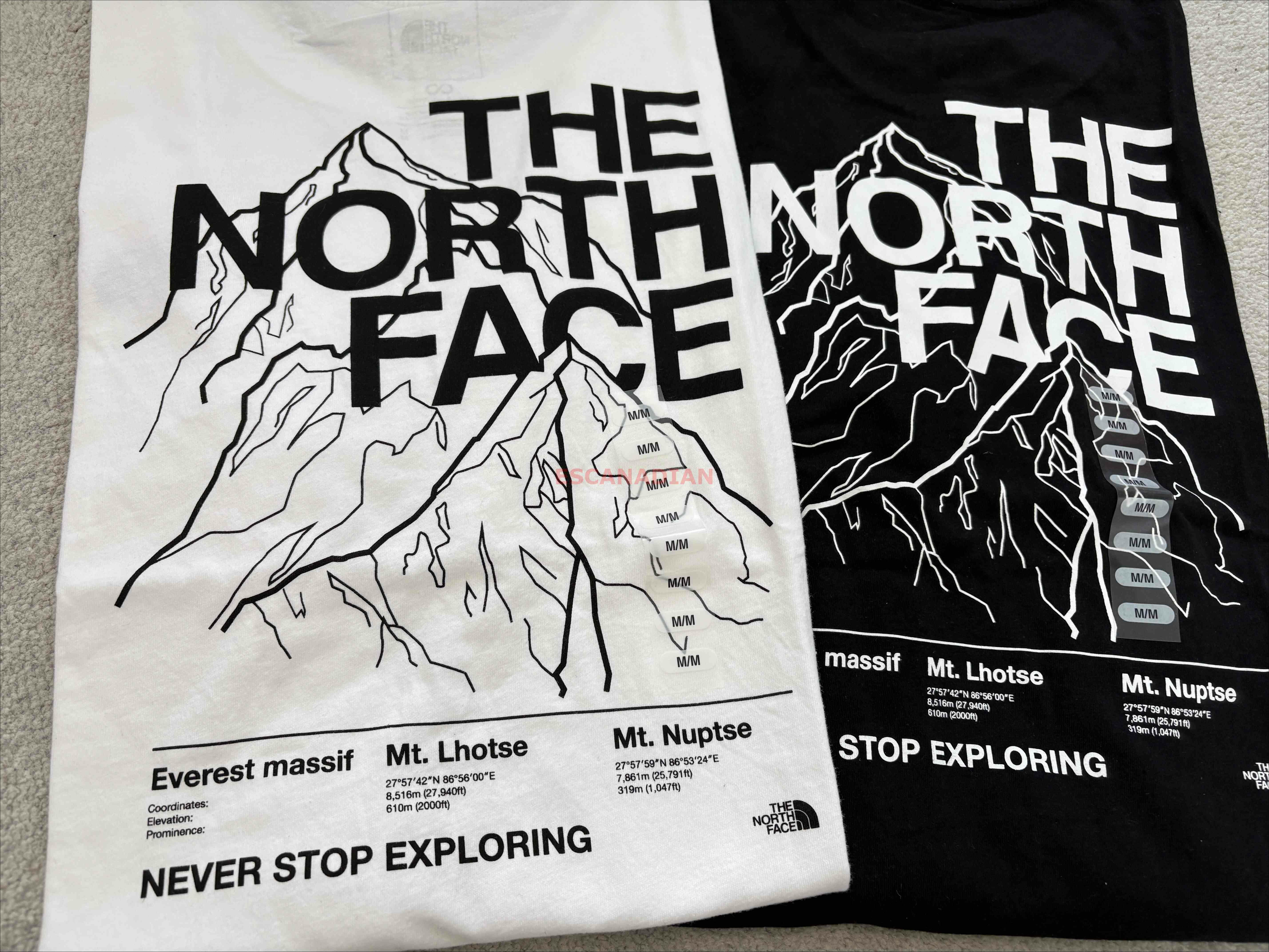 THE NORTH FACE 男大人 雪山圖案 短TEE (前LOGO後山脈) (2色)
