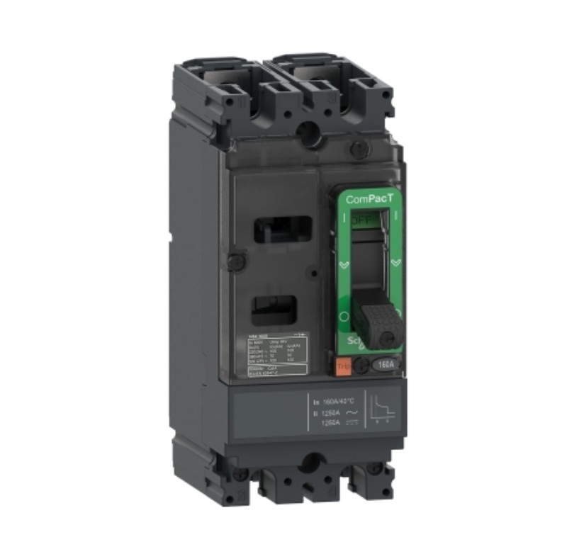 R299  Schneider MCCB 塑殼斷路器 2-Pole  16A-100A