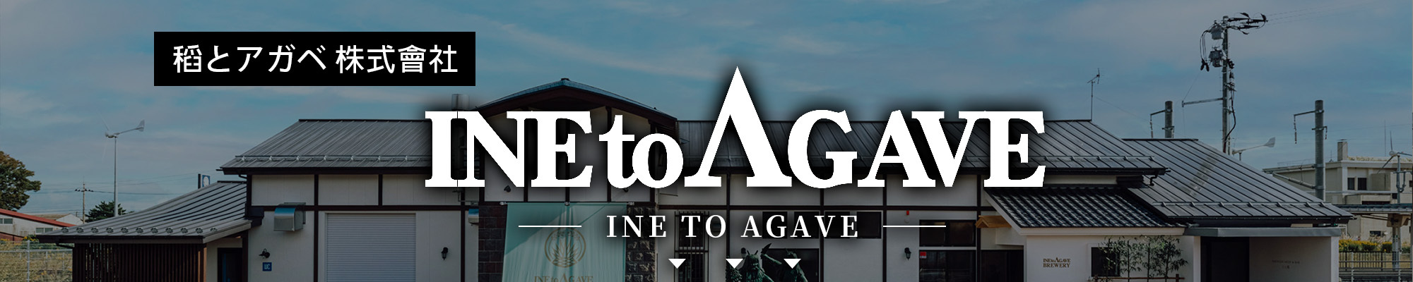 稲とアガベ INE to AGAVE |AMALL清酒專門|日本酒|SAKE|梅酒|觀塘門市|威士忌|酒杯|網購|酒器|吟釀|燒酎