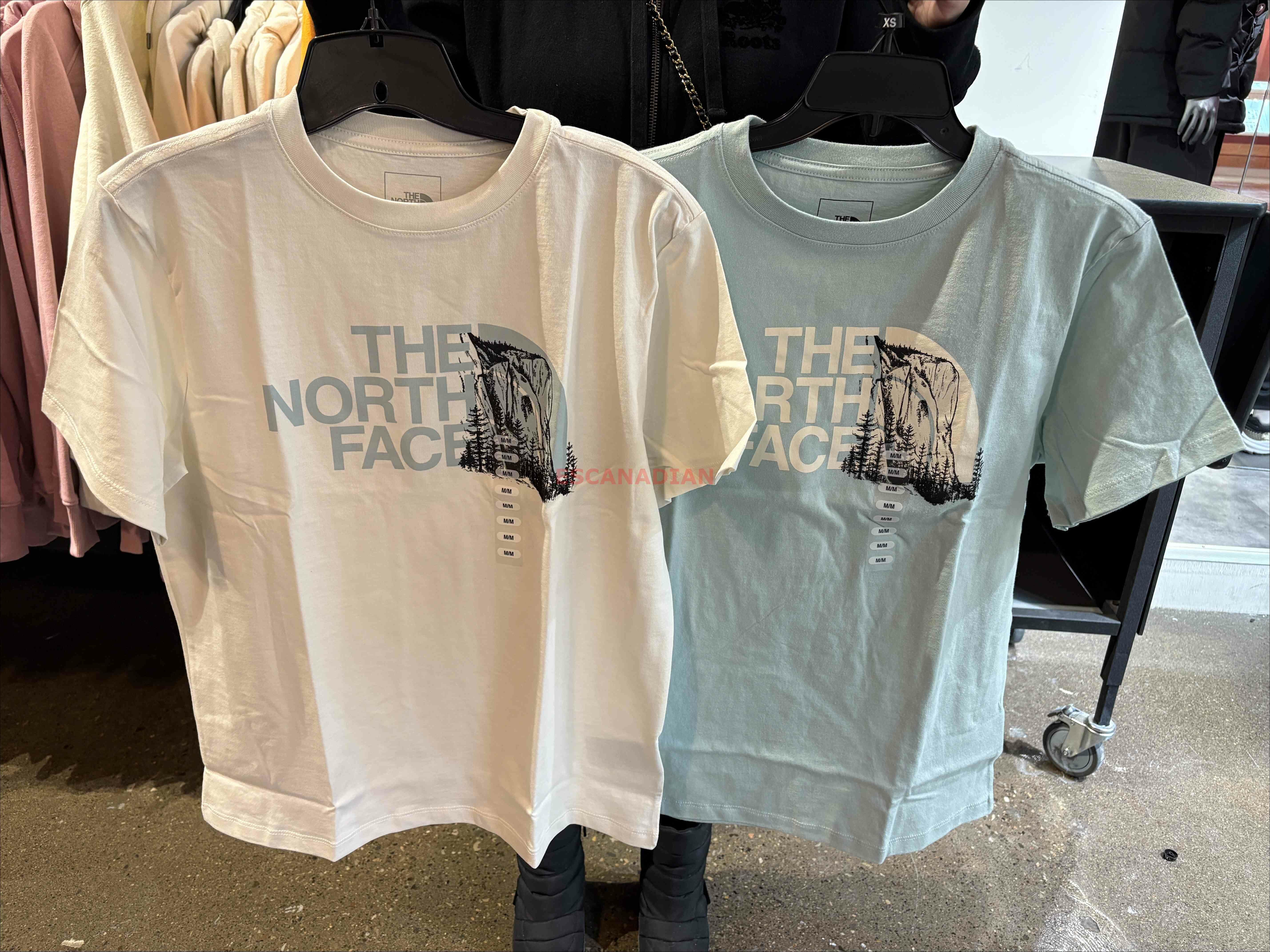 THE NORTH FACE 女大人 風景半山圖案 短TEE (2色)