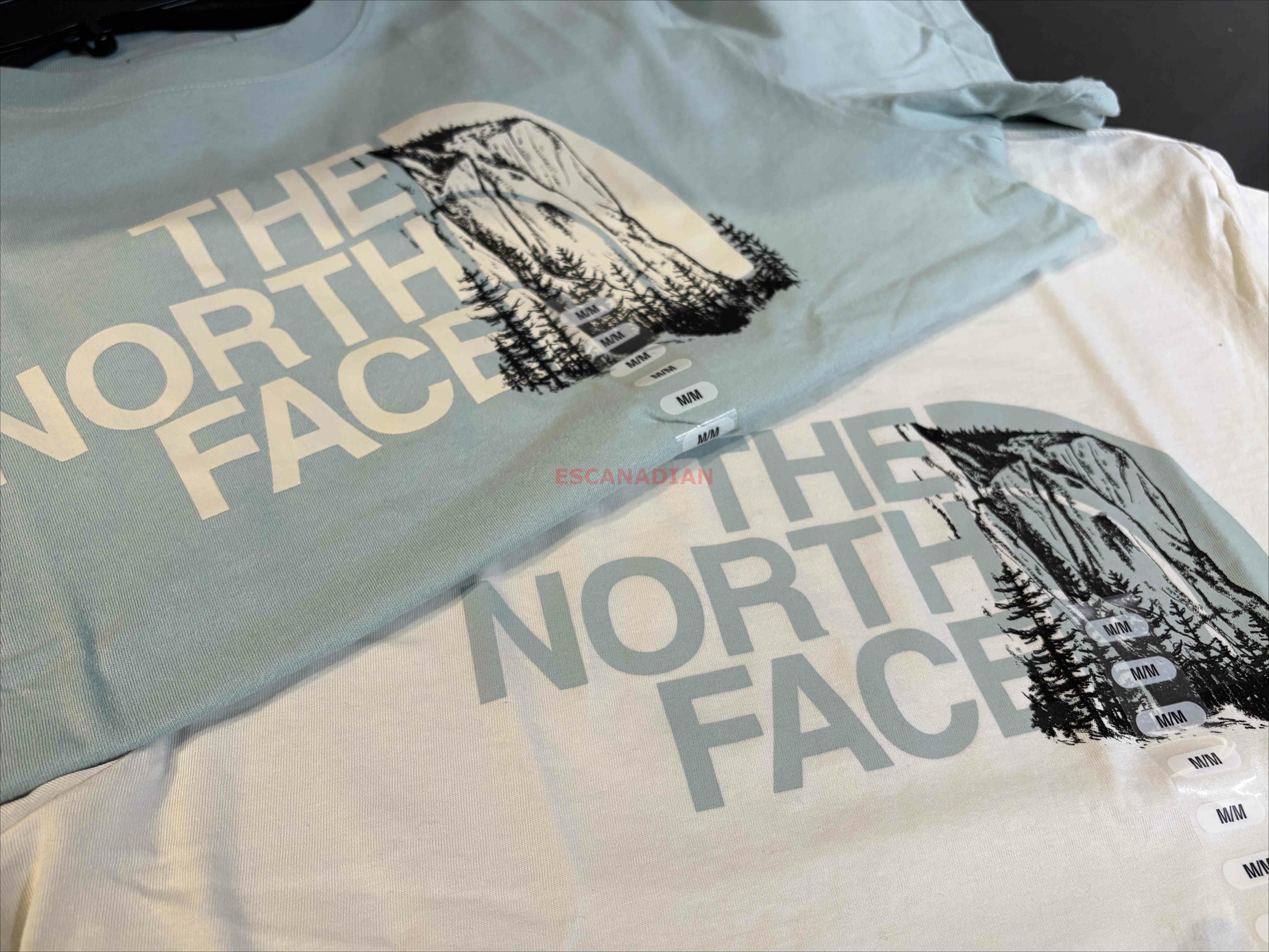THE NORTH FACE 女大人 風景半山圖案 短TEE (2色)