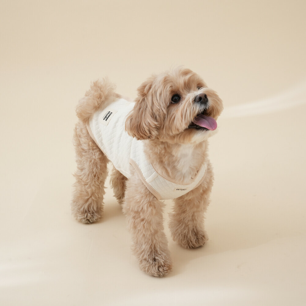 OWWW STUDIO 無標有機棉背扣背心