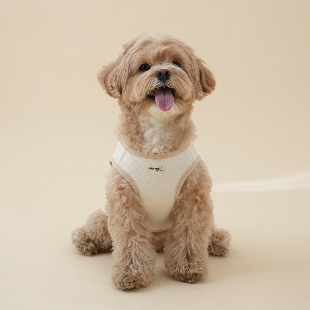 OWWW STUDIO 無標有機棉背扣背心