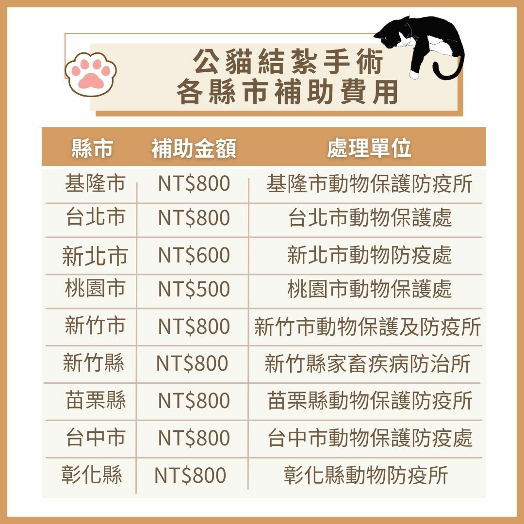 各縣市公貓結紮手術補助費用參考