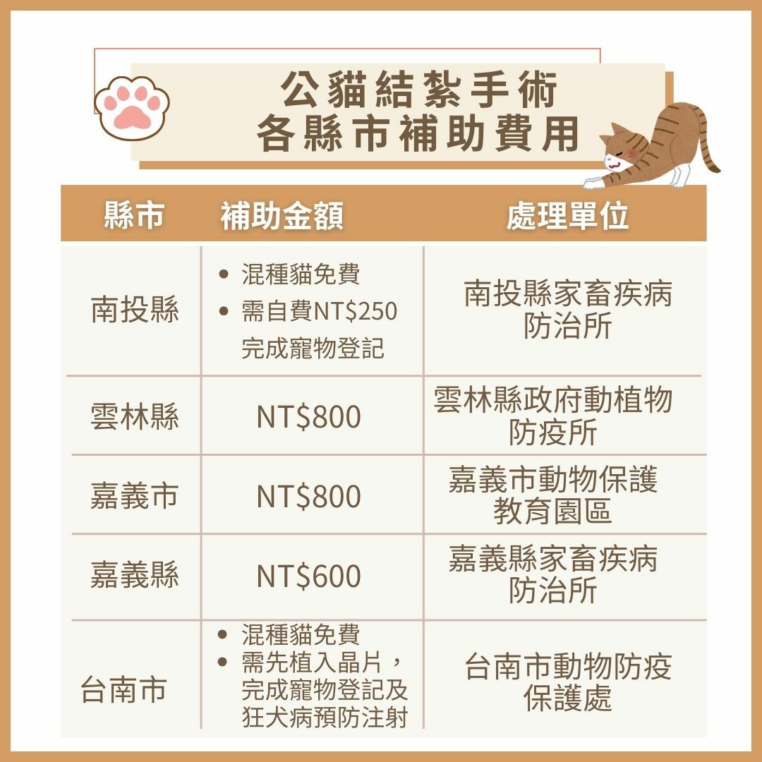 2025年各縣市公貓結紮補助參考