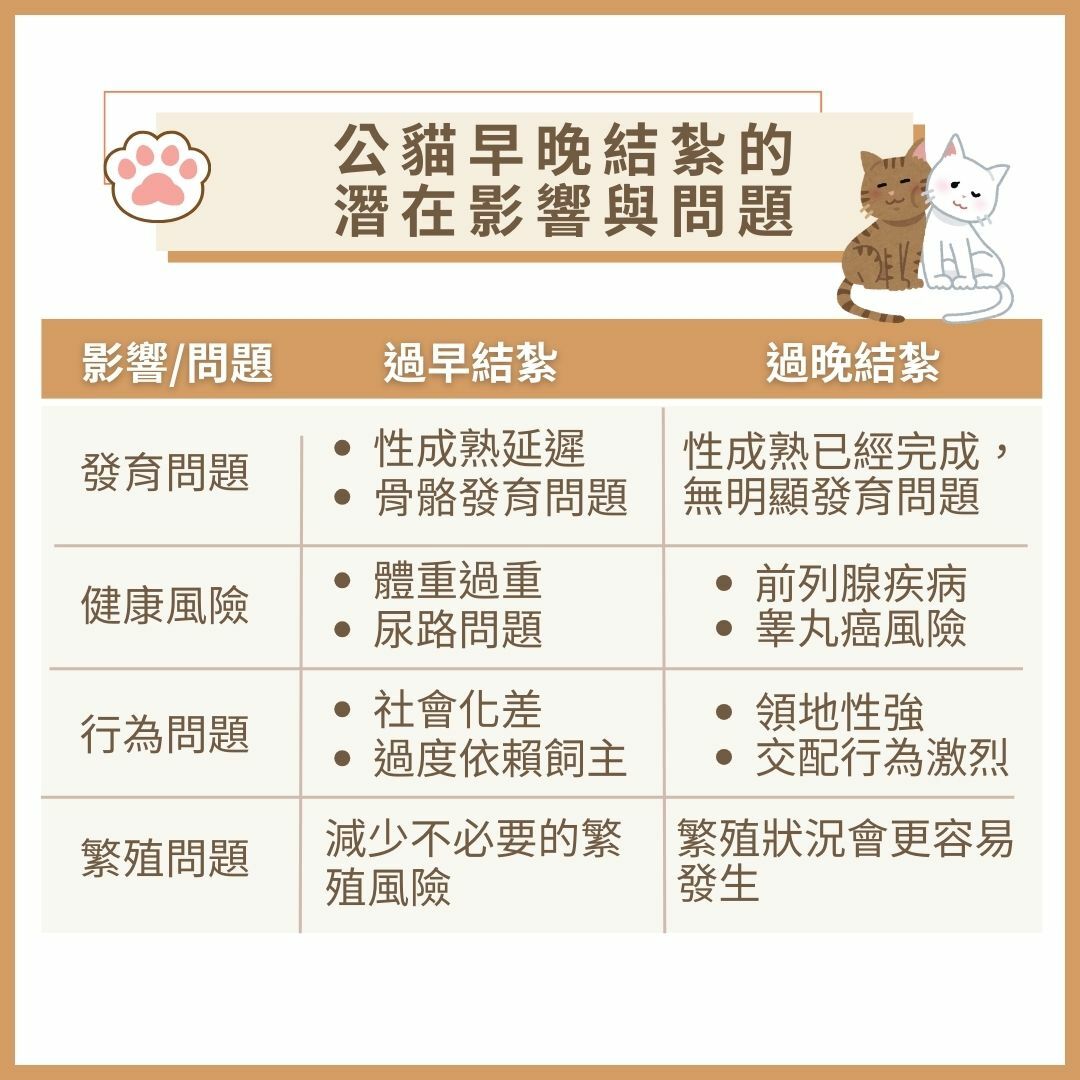 公貓早晚結紮的 潛在影響與問題