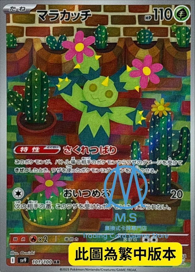 SV9F 101/100 沙鈴仙人掌