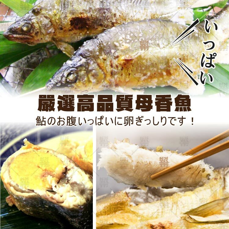 香味深受日本人的喜愛又稱為「黃金香魚」