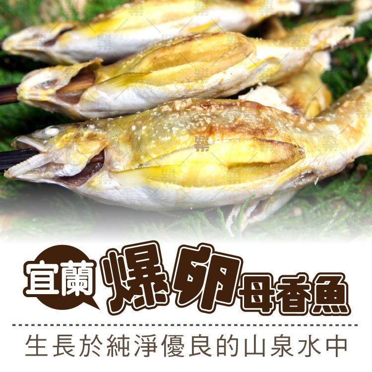 蘭陽地區得天獨厚的生長環境，乾淨無污染的水質