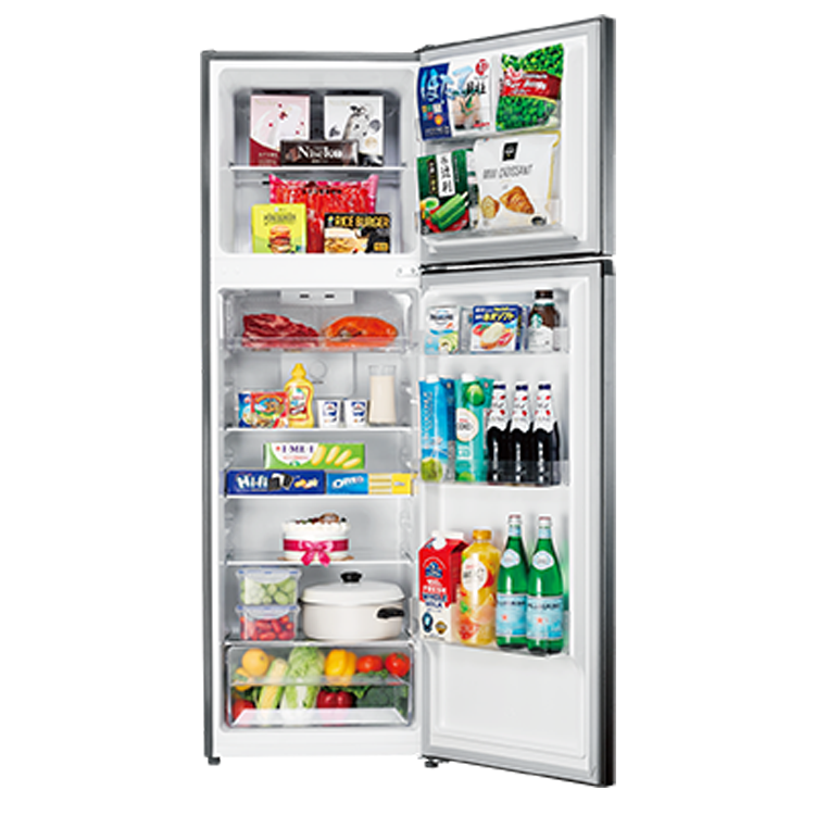 SAMPO聲寶 250公升 一級效能鋼板變頻雙門電冰箱(SR-M25D)