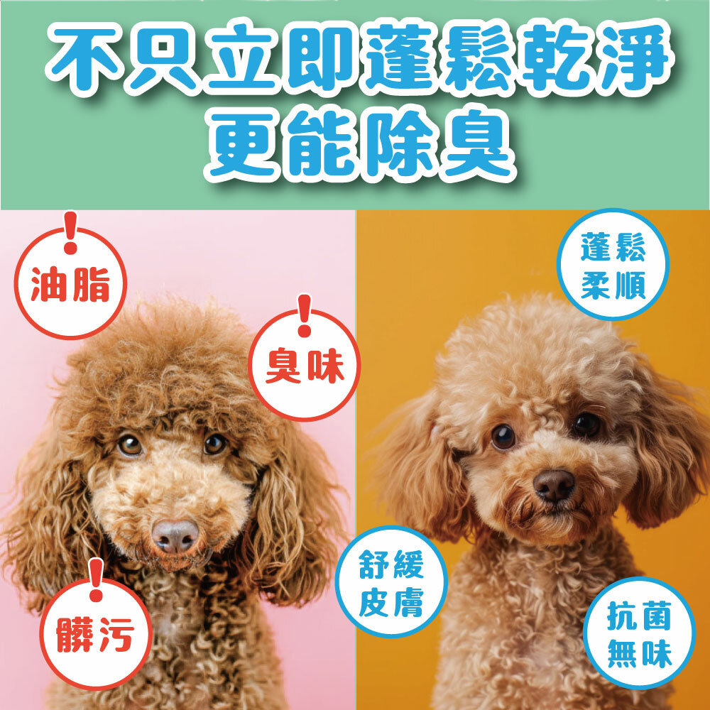 臭味滾｜寵物專用乾洗粉100g (犬貓通用)