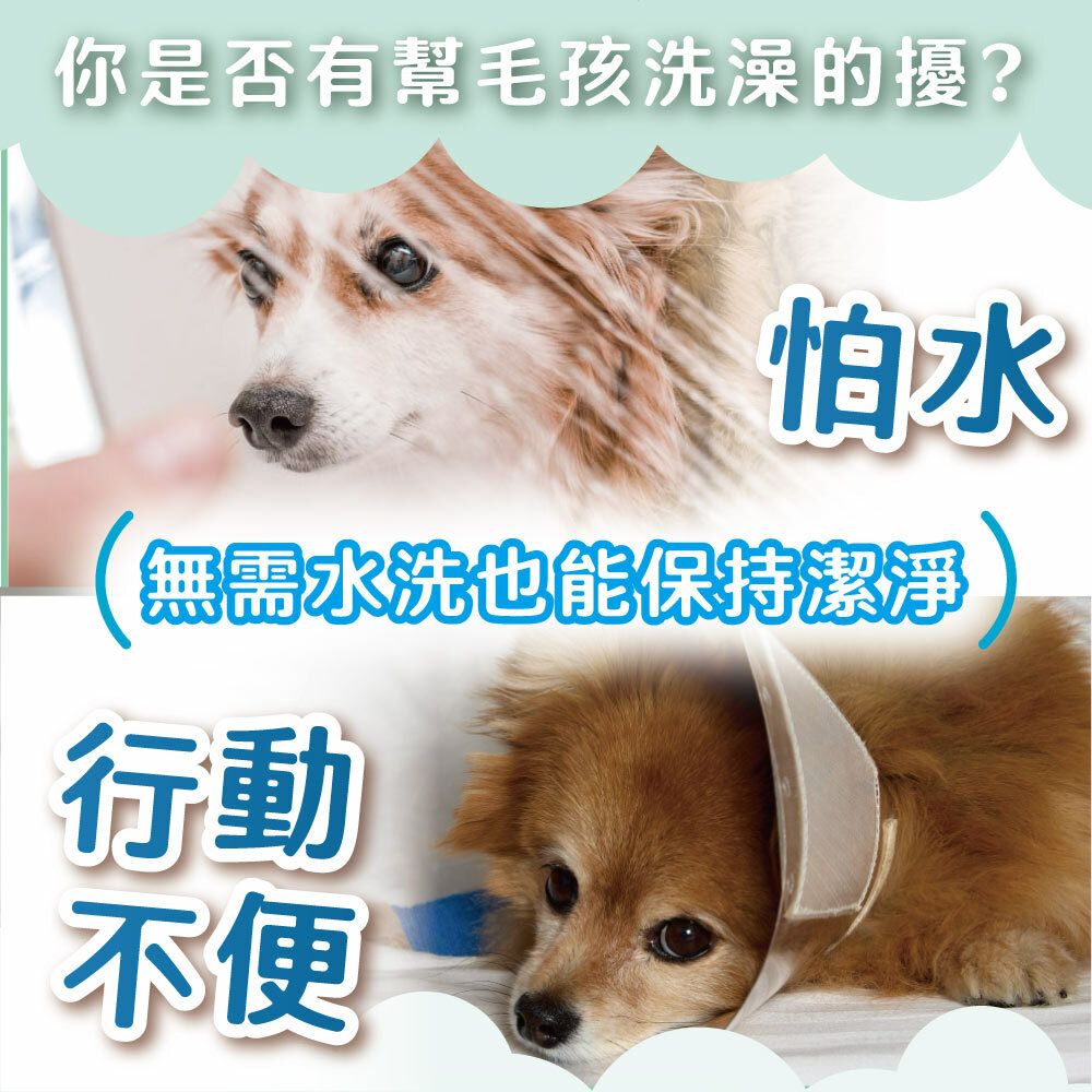 臭味滾｜寵物專用乾洗粉100g (犬貓通用)