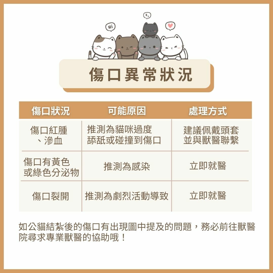公貓結紮後的傷口護理傷口狀況