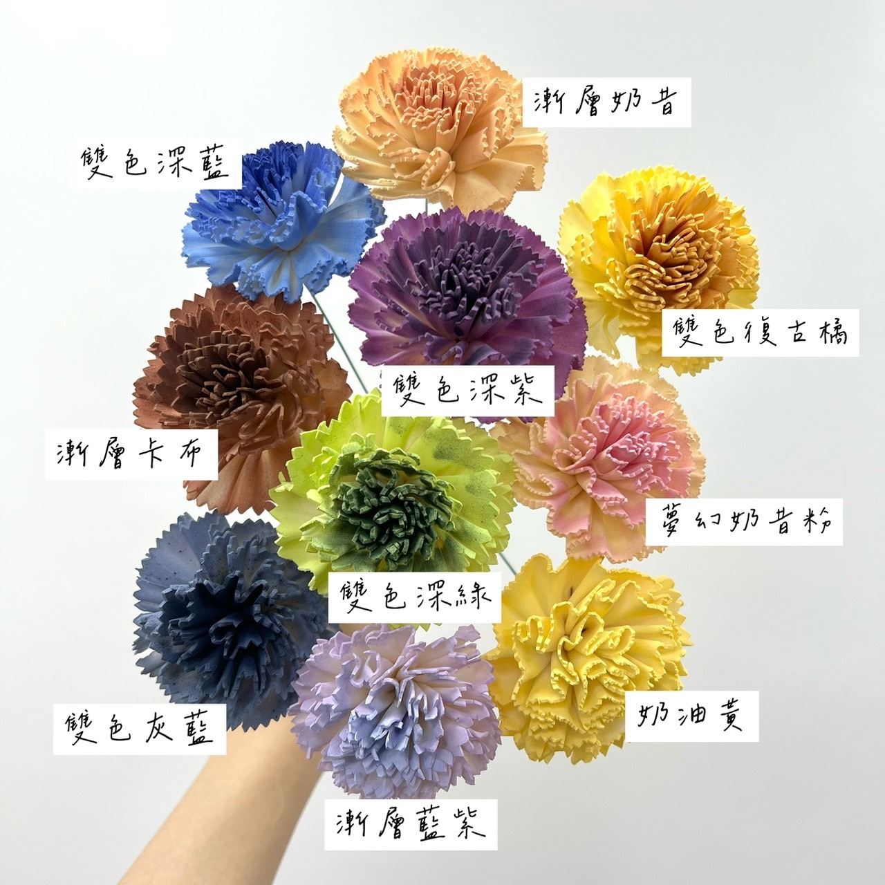 越南索拉花 尖葉康乃馨 4CM<十支一把>