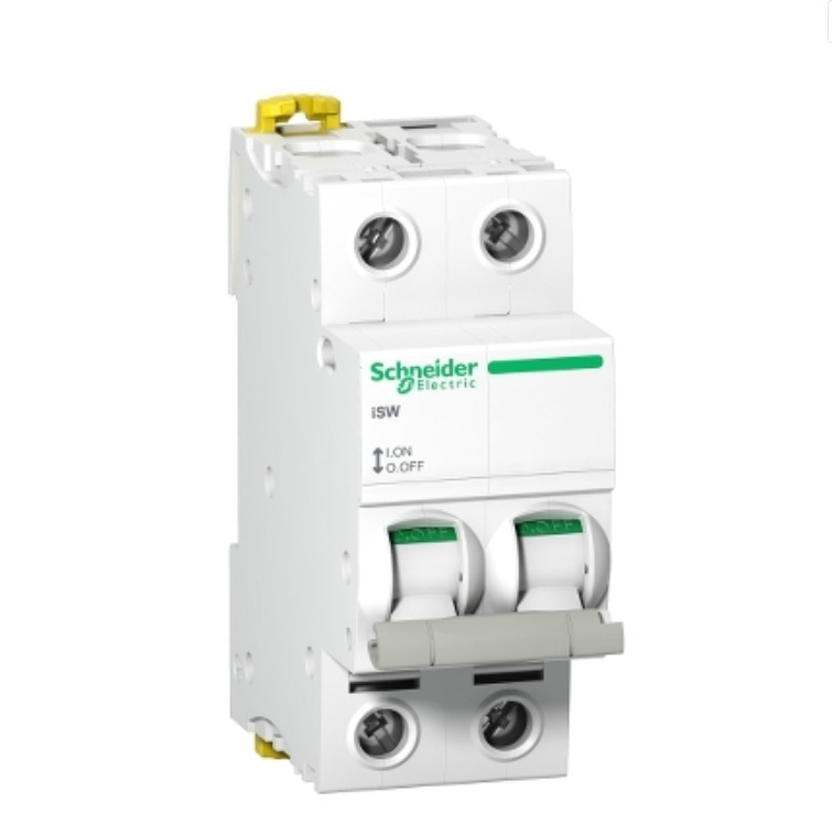 R232 Schneider AI Isolating Switches 隔離開關 2P