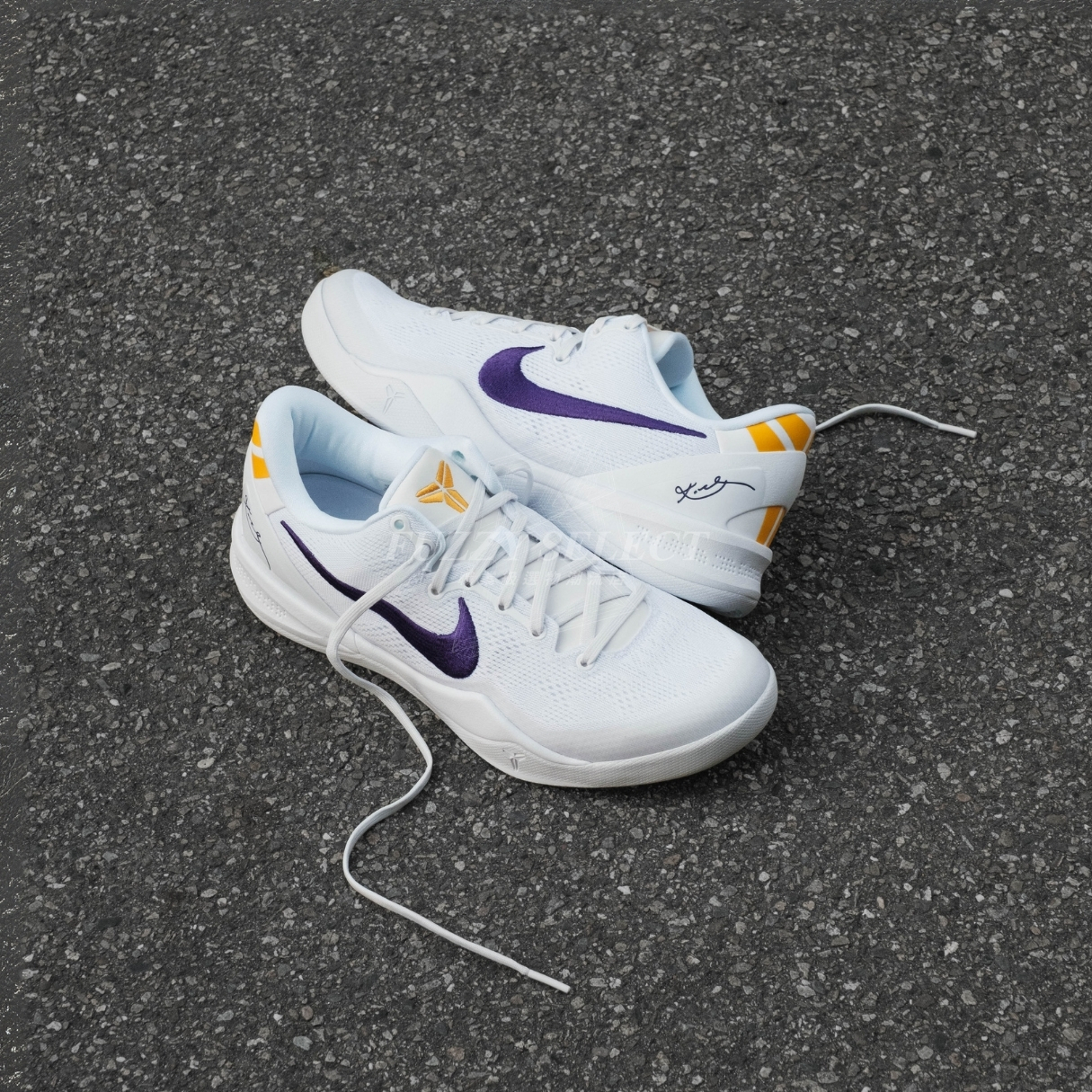 【逢甲 FUZZY】Kobe 8 Protro Lakers Home Away 白紫 HF9550-100