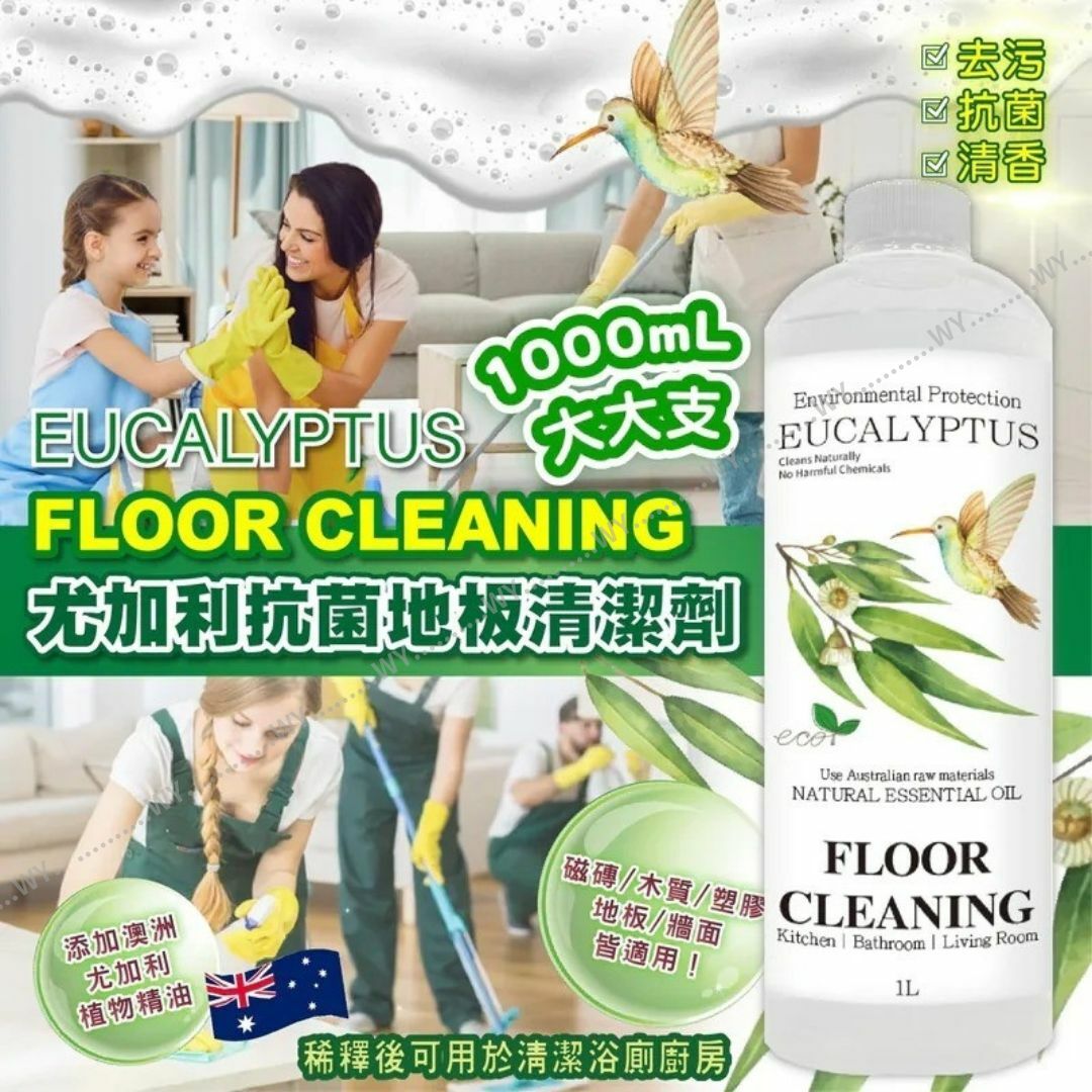 英國 A.F 尤加利植萃地板清潔液