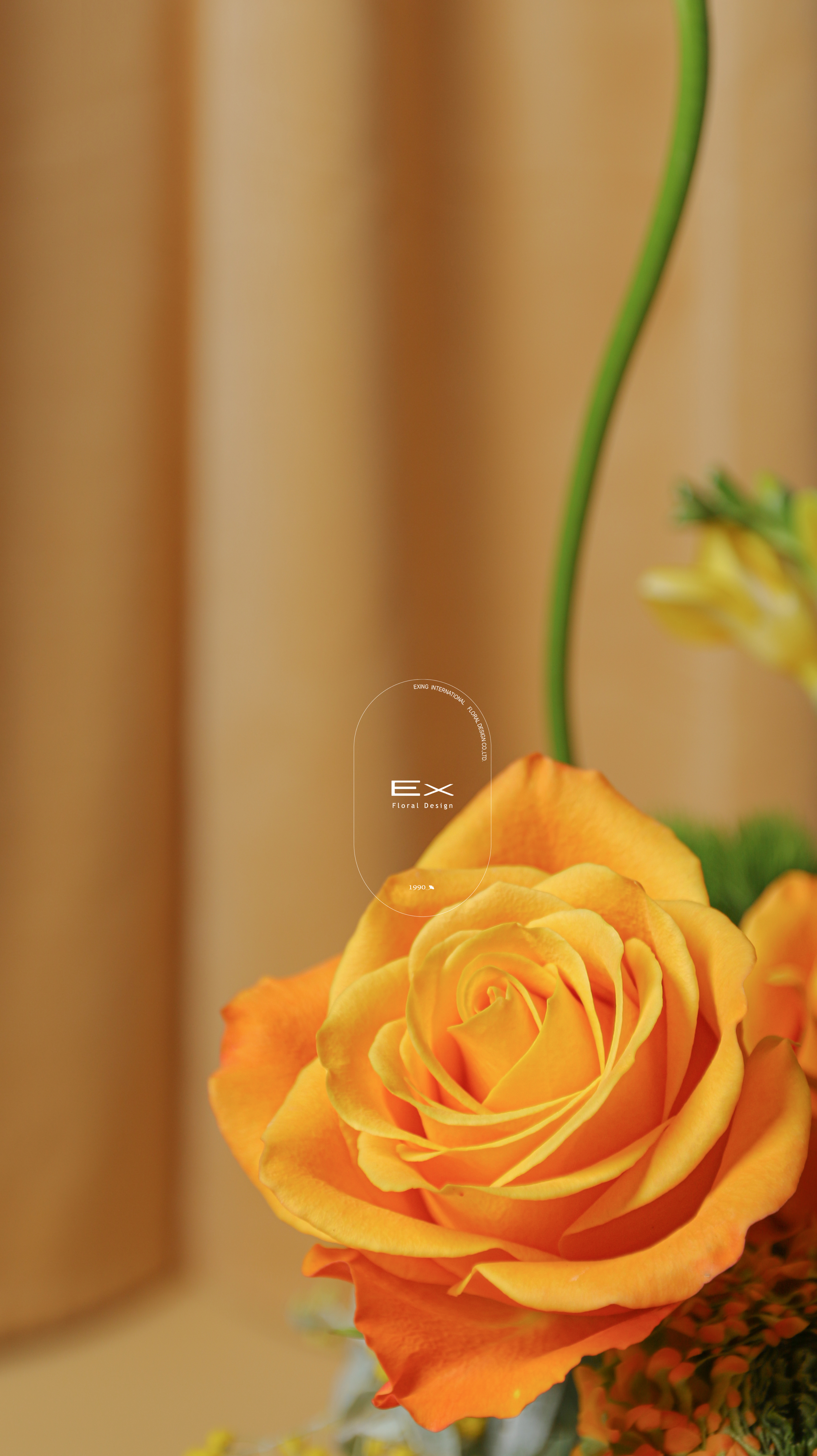 金橙繁樺｜桌花送禮首選