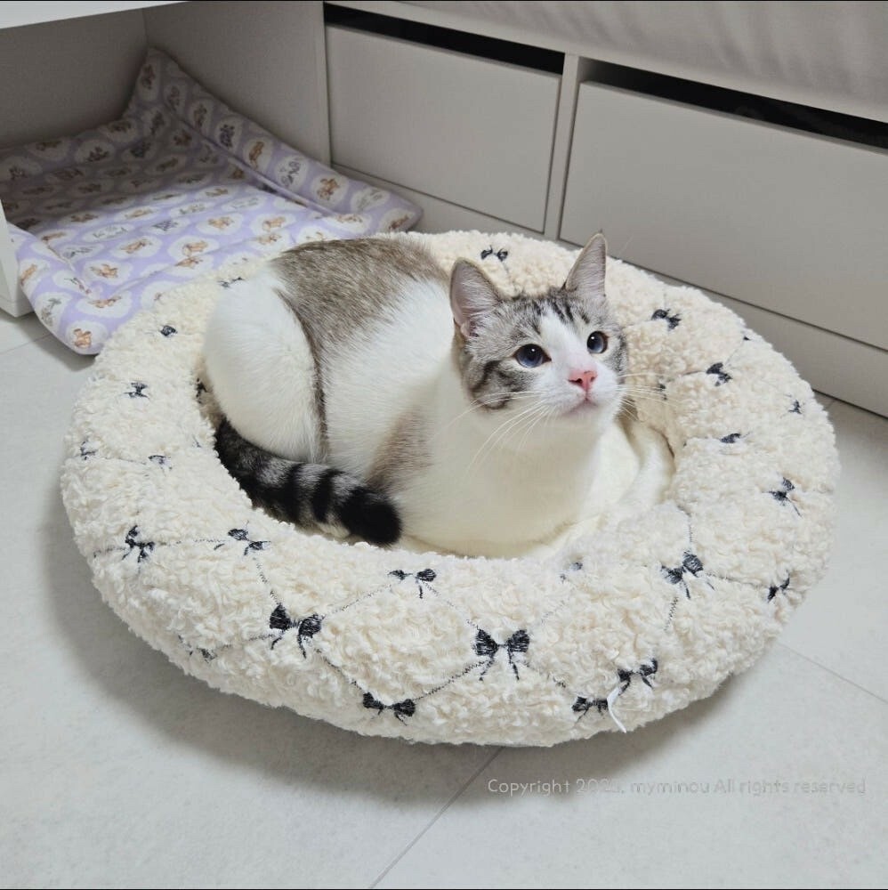 MY MINOU．夢幻蝴蝶結系列