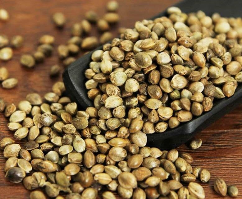 火麻仁:天然健康的多重功效與營養秘密