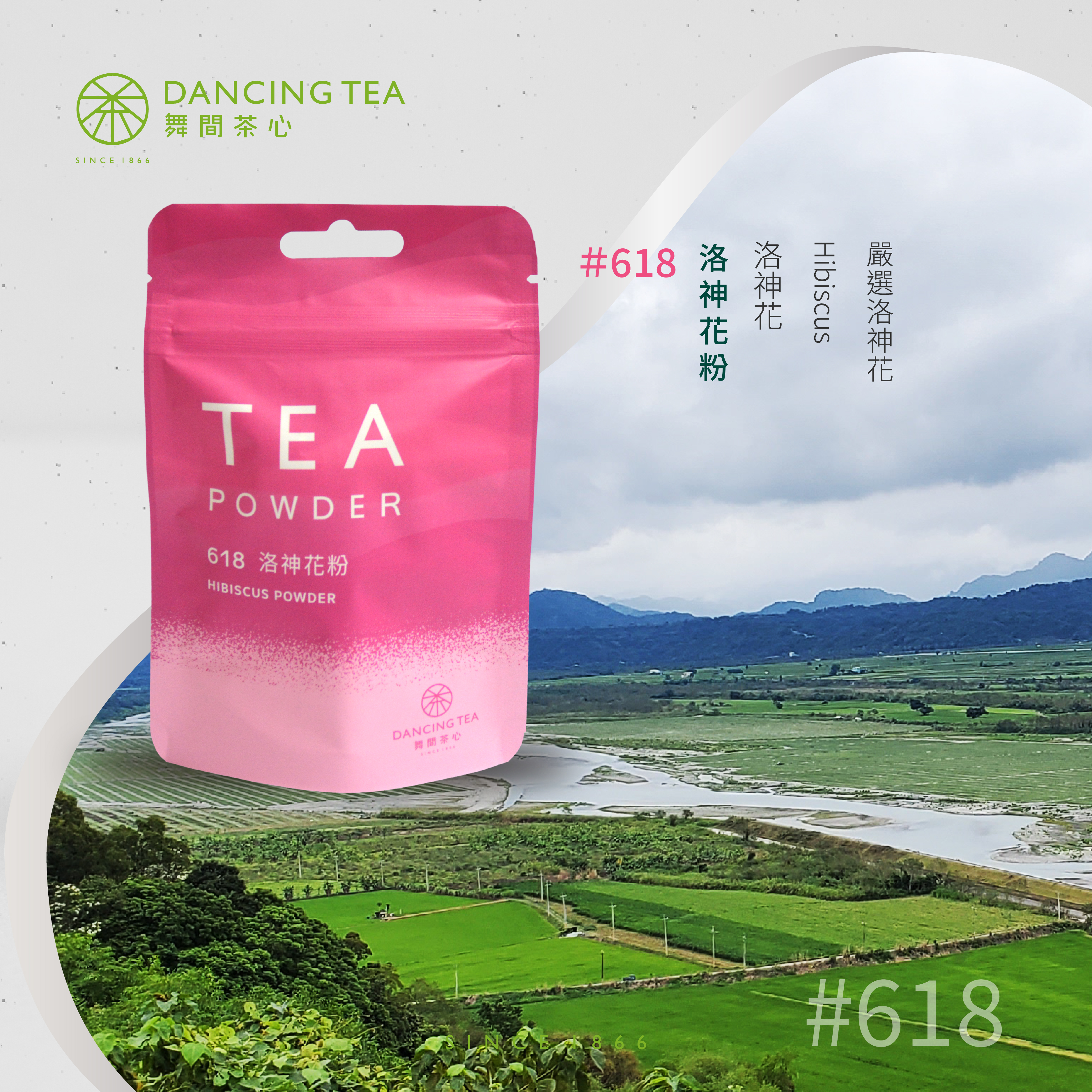 舞間茶心洛神花粉50g