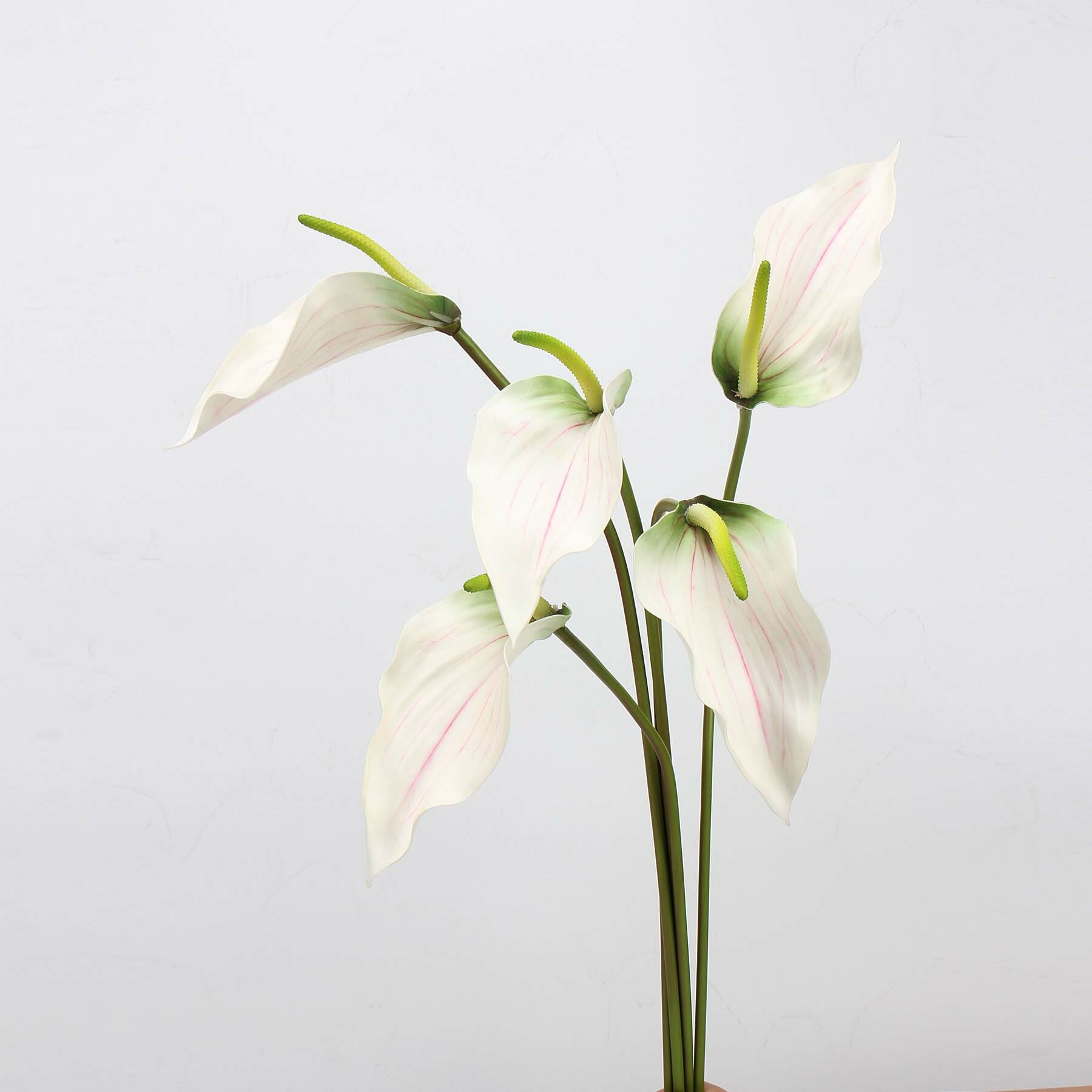 仿真觀音蓮海芋(馬蹄蓮)