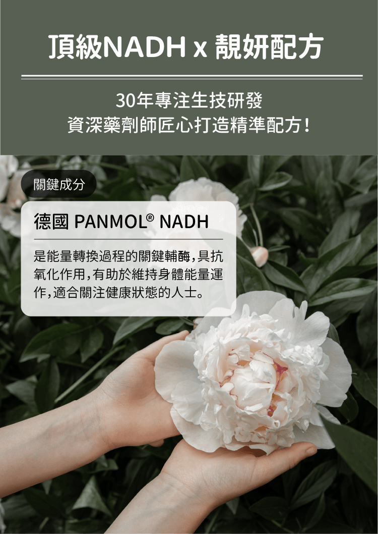NADH新生靚妍膠囊，給你頂級德國進口Panmol NADH加上靚妍配方，養顏美容滋養透亮！