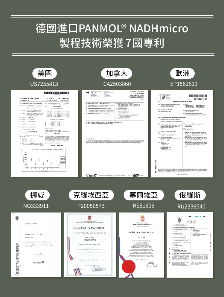 德國Panmol NADH製程榮獲7國專利，品質穩定