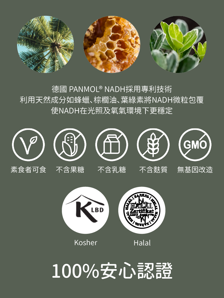 德國Panmol NADH不含過敏原，素食者可食，且榮獲多項國際認證