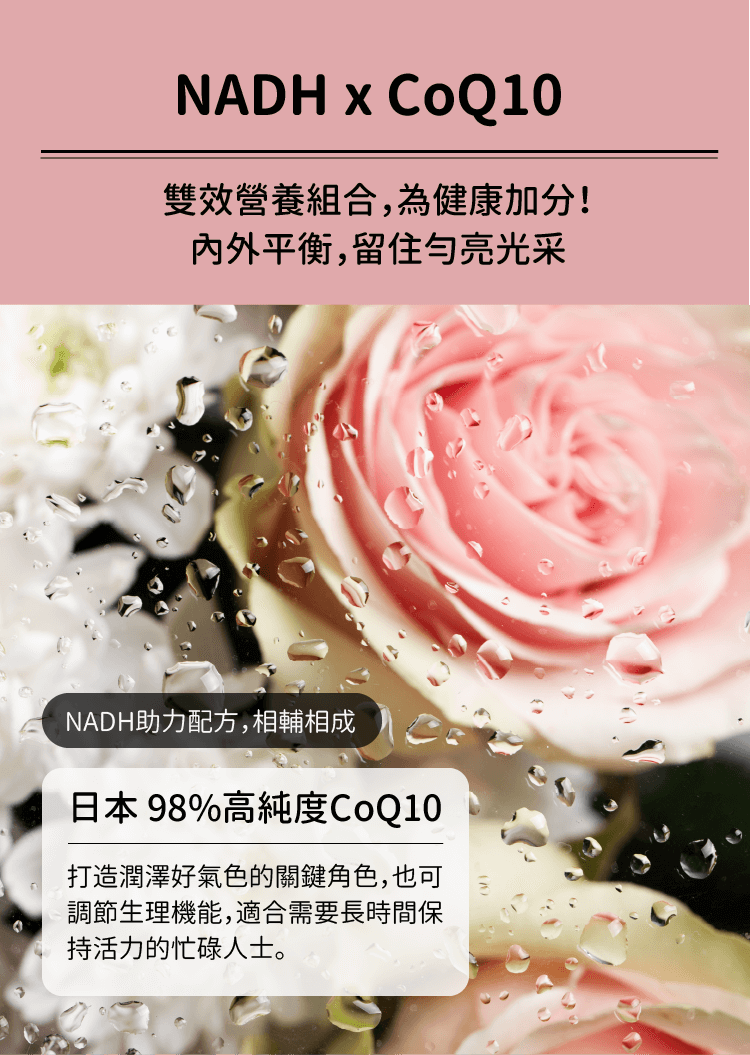 NADH與CoQ10協同補充，可發揮最大潛力