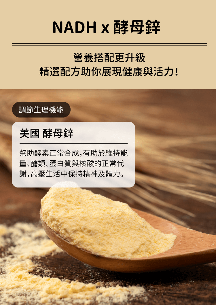 鋅是人體重要的營養素之一，與NADH同時攝取可維持健康與活力