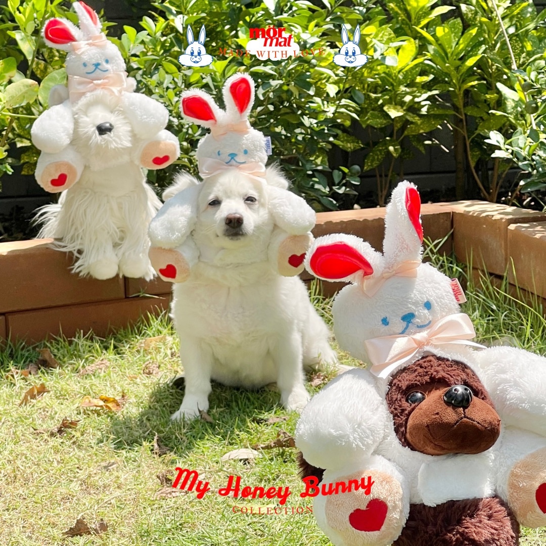 Mormat｜ My Little Bear 頭套