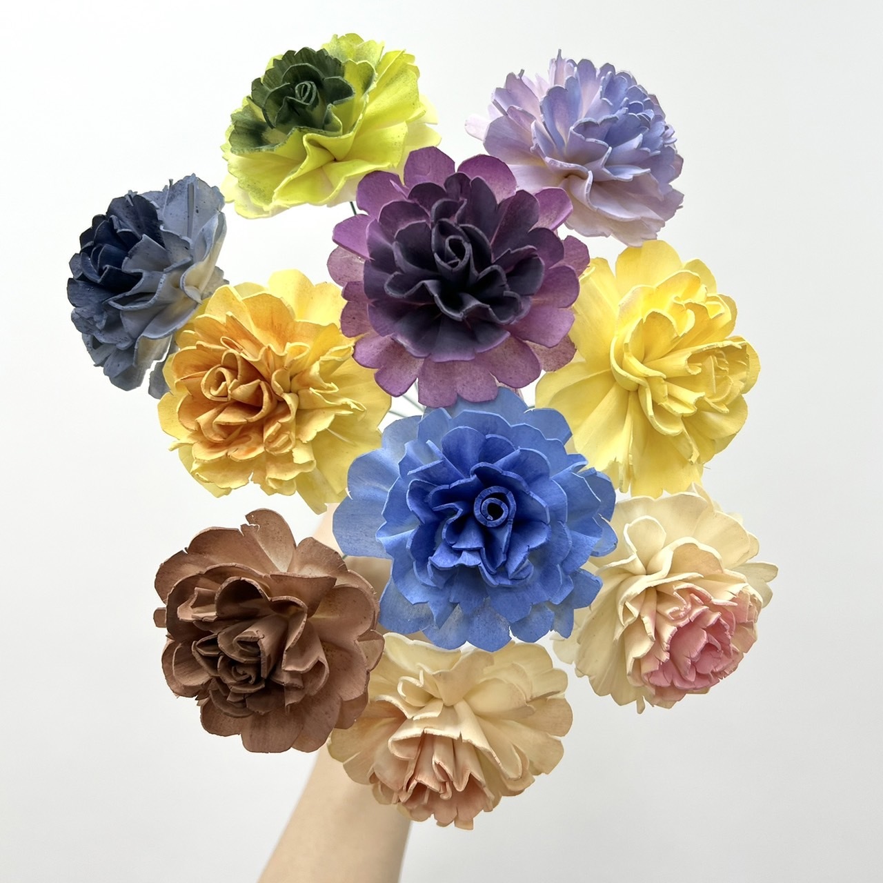 越南索拉花 小花康乃馨 6CM<十支一把>