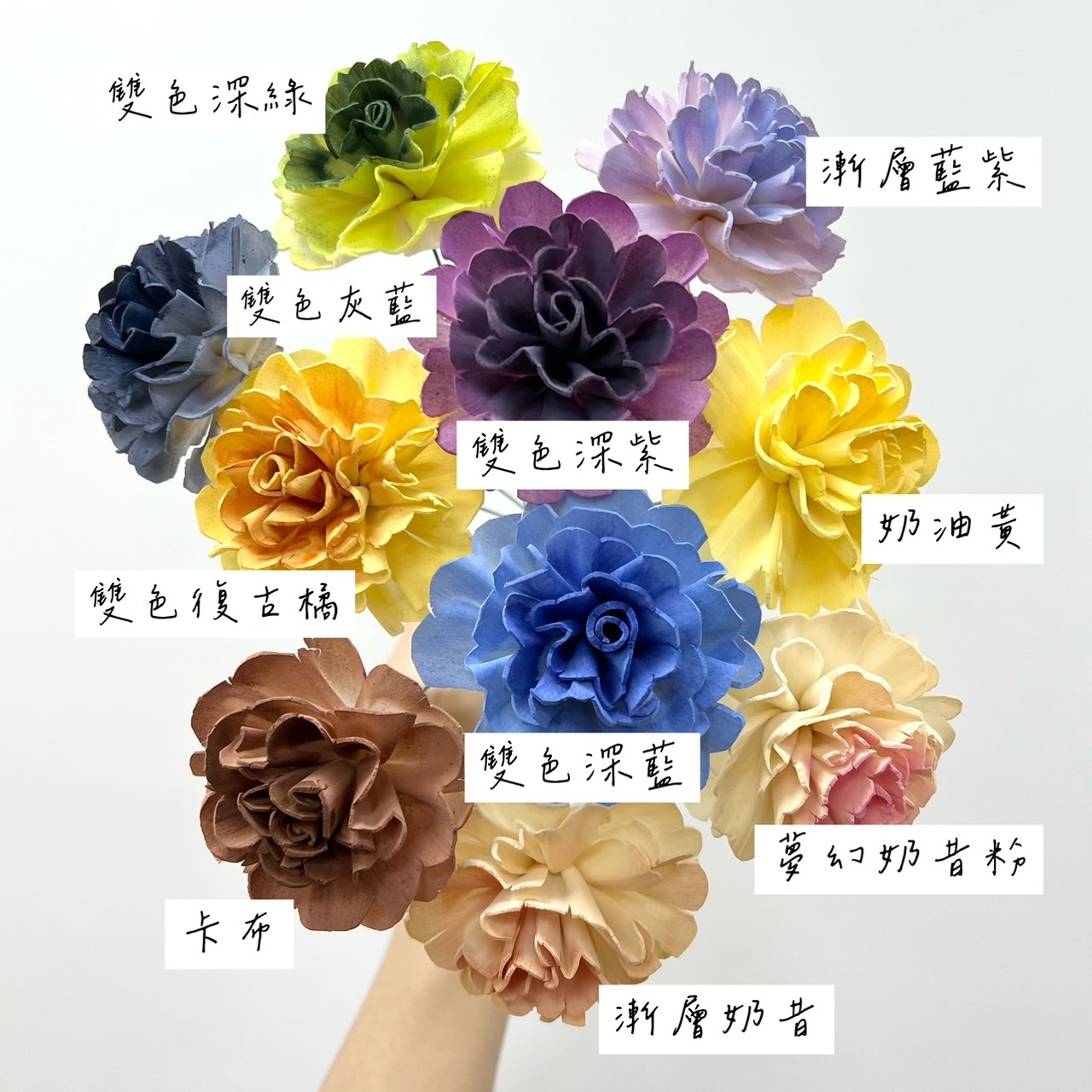 越南索拉花 小花康乃馨 4CM<十支一把>