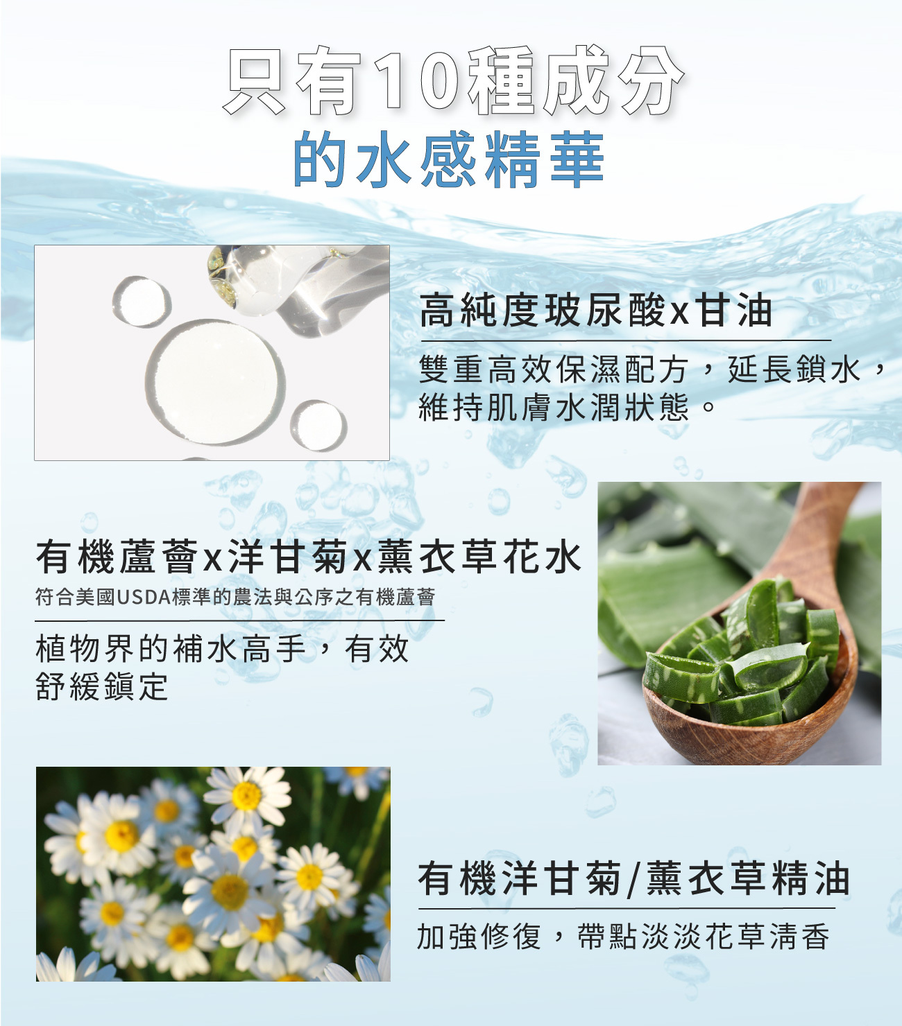 10種成分的水感精華
