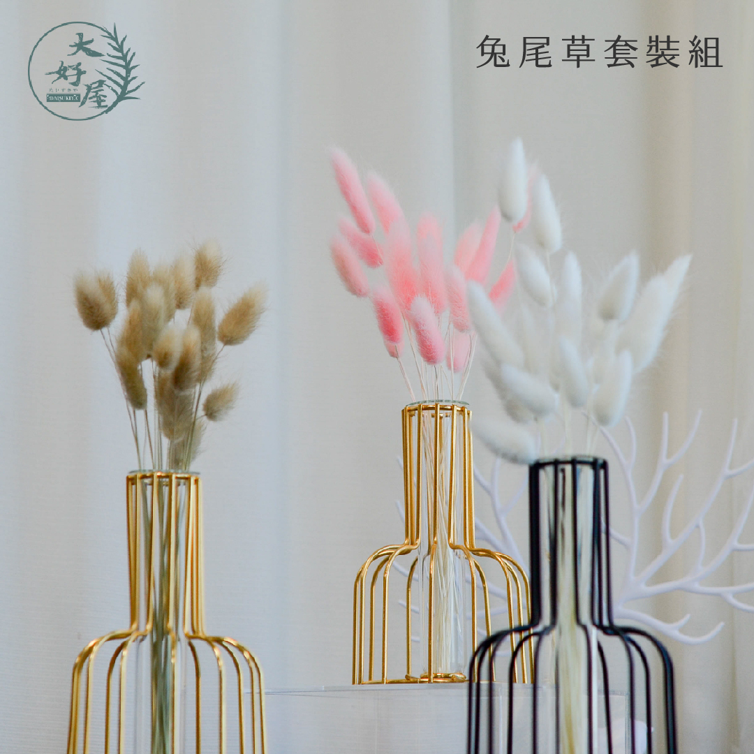 金屬鐵藝試管花瓶