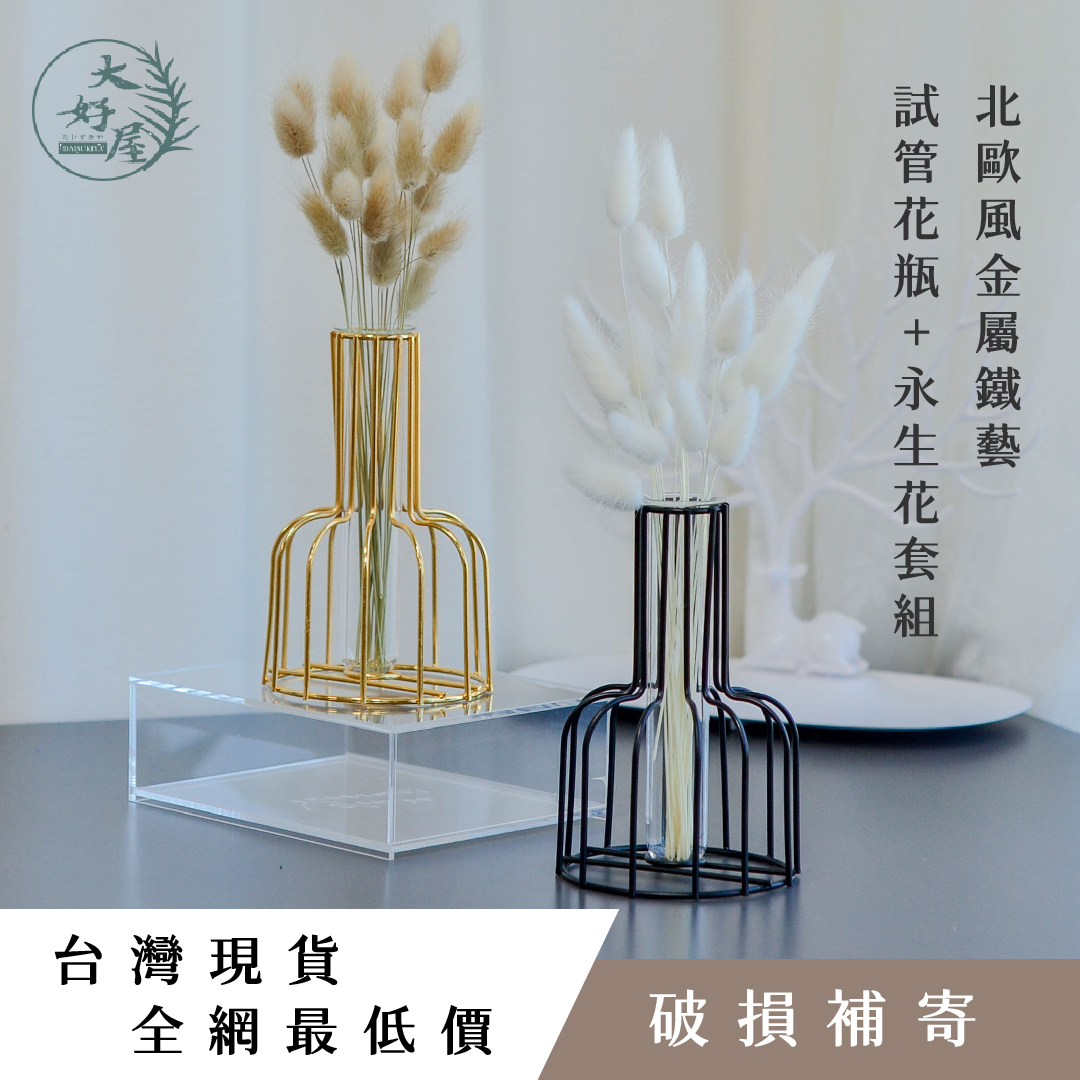 金屬鐵藝試管花瓶