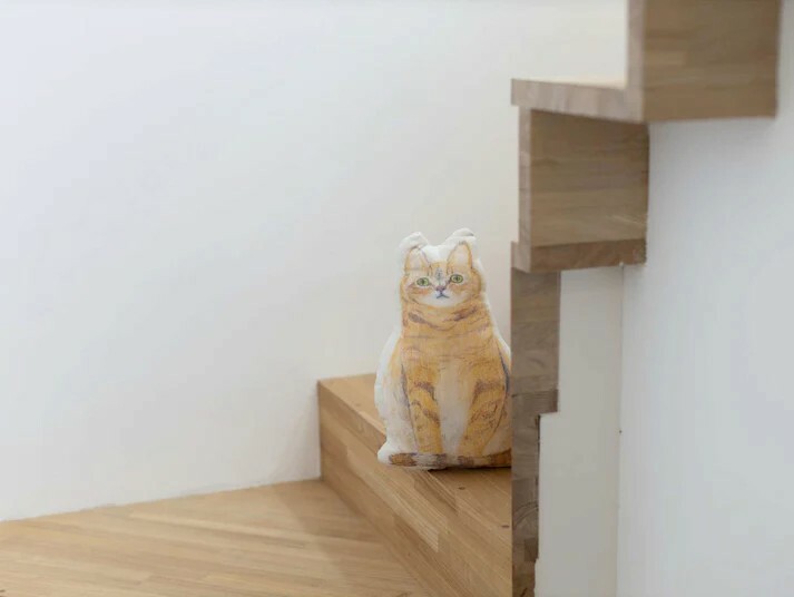 Orneko - ado貓靠枕 sitting brown tabby cat