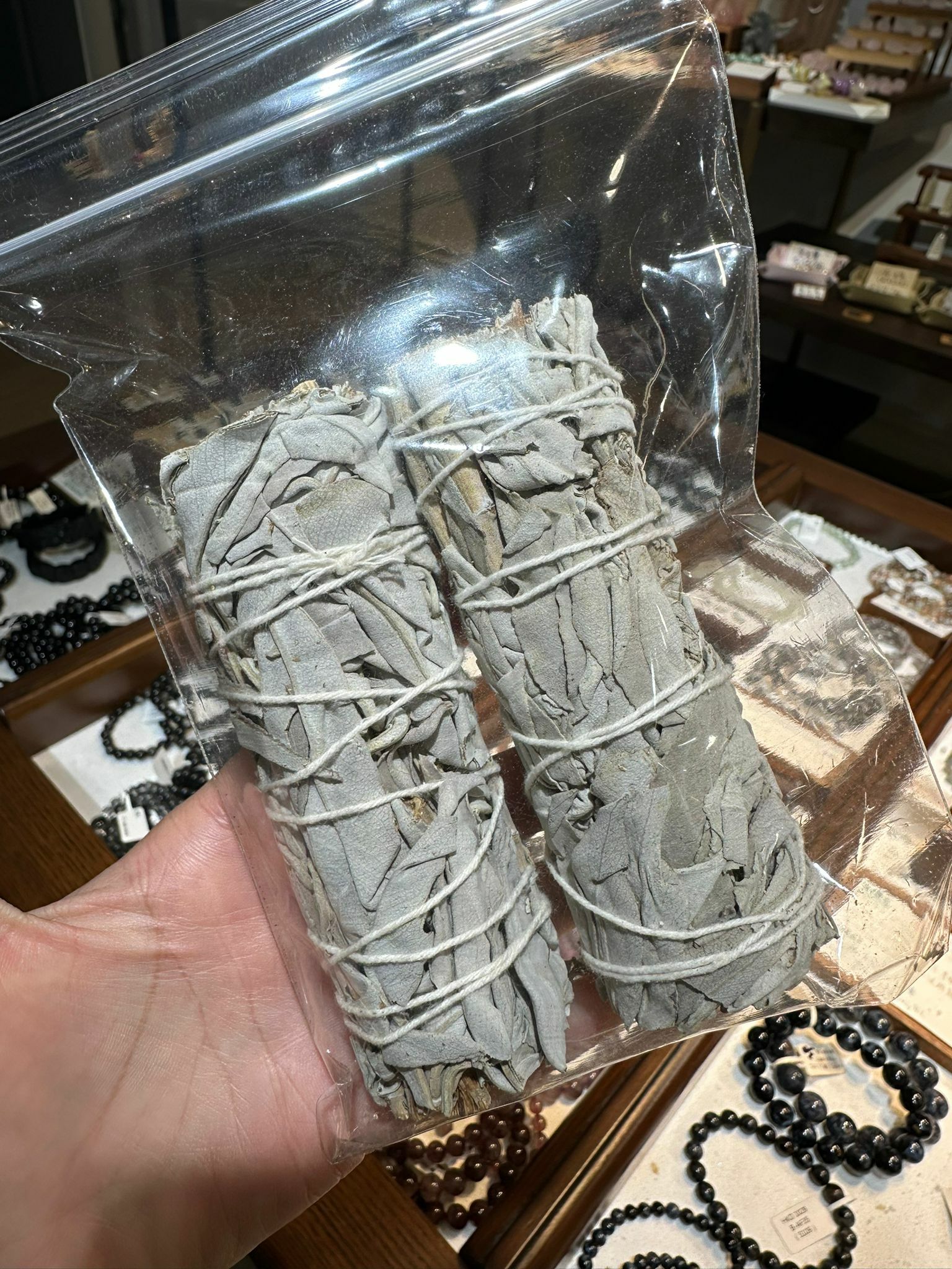 鼠尾草(條) (4795)